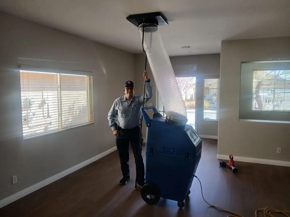 Professional Dryer Vent Cleaning work inside a Northgate home